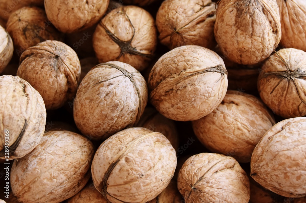 Close up of fresh Walnuts in the shell