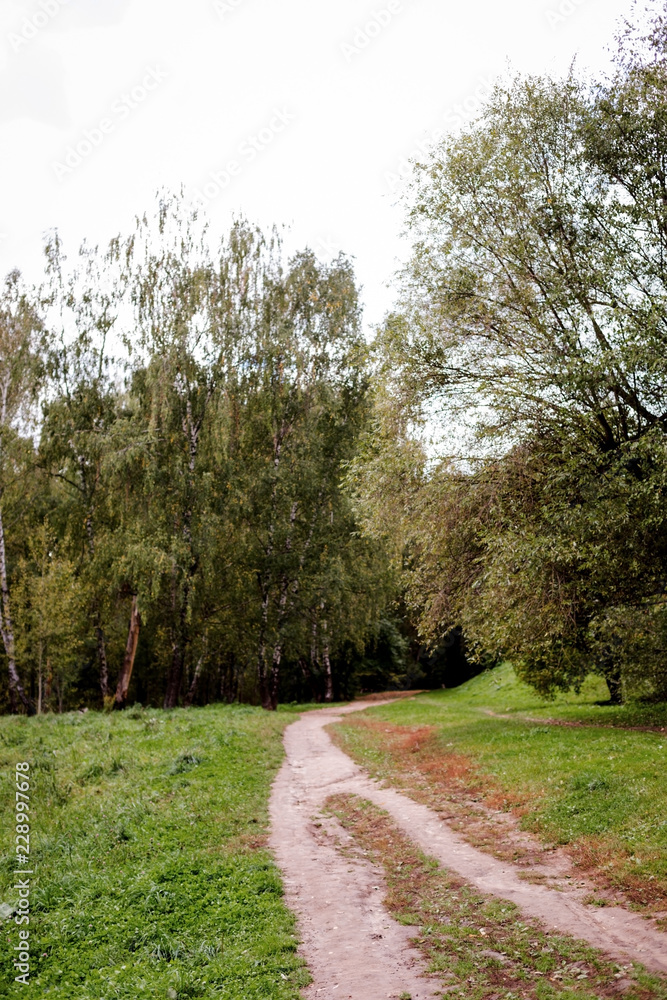 Path in the wood or park.Autumn season Path in the wood or park.Autumn season