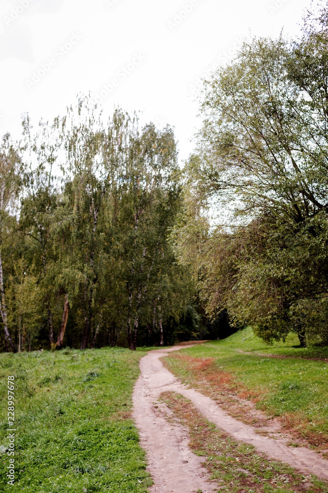 Path in the wood or park.Autumn season