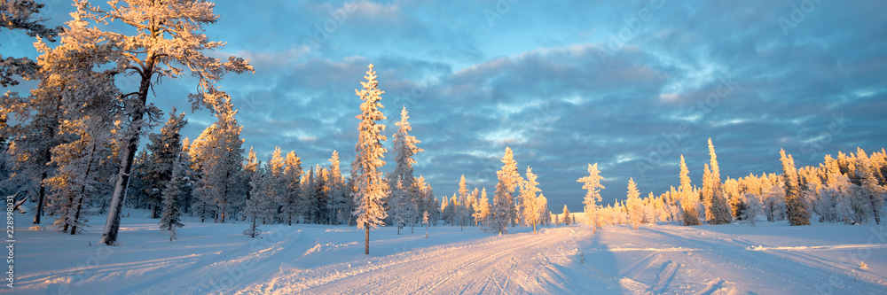 Fototapeta premium Snowy panoramic landscape, frozen trees in winter in Saariselka, Lapland, Finland
