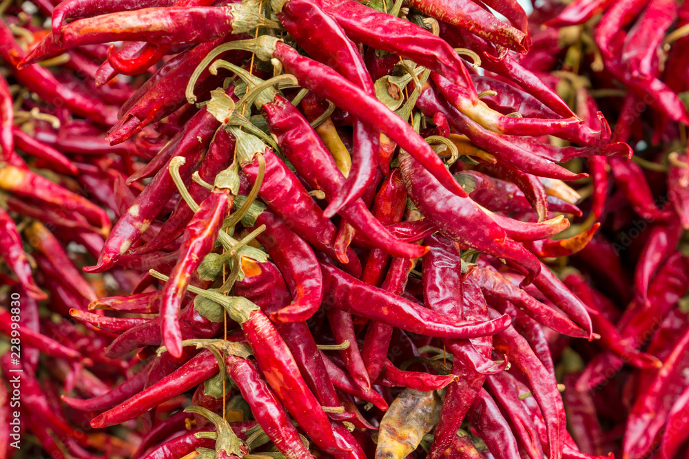 garland chili pepper group of sharp pods vertical row culinary background close-up garland chili pepper group of sharp pods vertical row culinary background close-up