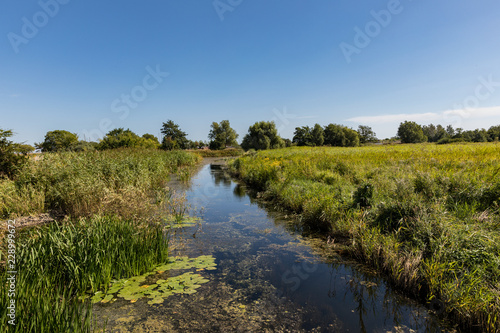 Vejle   river