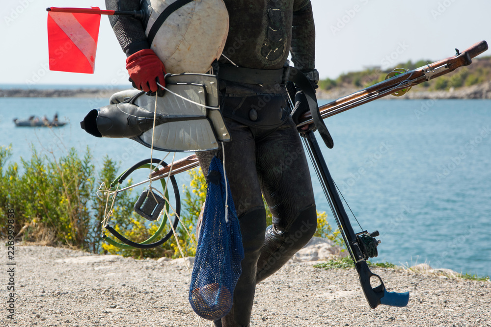 Crop view of scuba diver adult man on a seashore with spearfishing