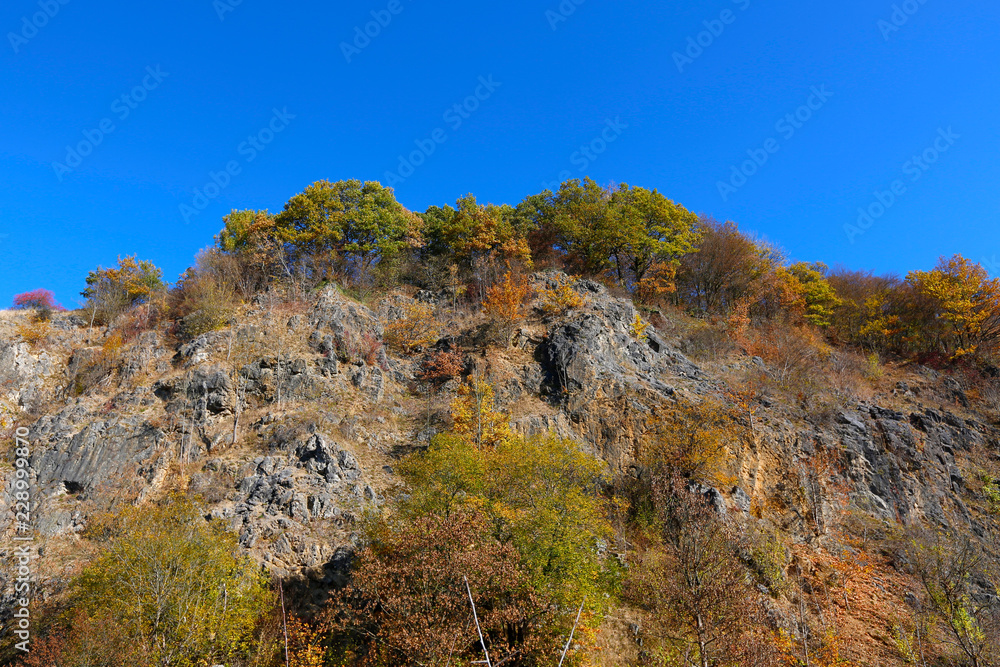 Berg Herbst Bäume 