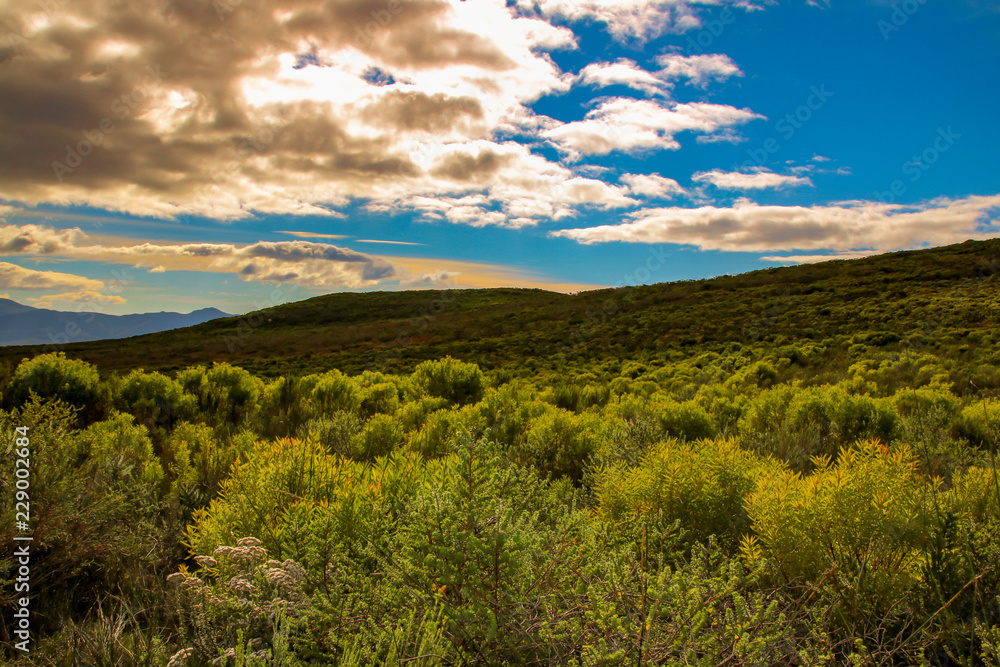 Naklejka premium Sunset country ocean