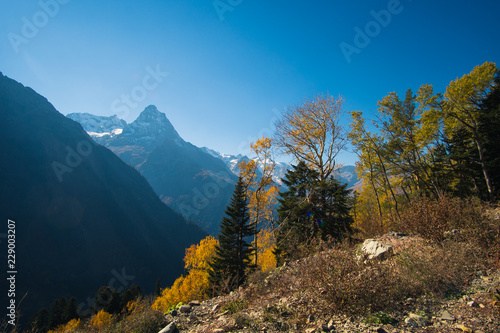 Landscape beautiful mountains with forest and pines and blue sky with sun rays and highlights in the Caucasus in Russia Dombay photo