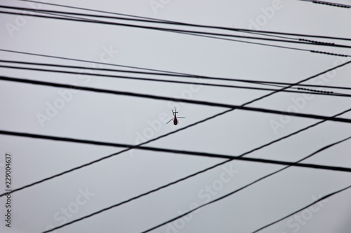 Helicopter Flying Overhead Between Power Lines