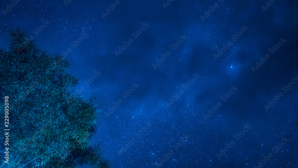 landscape and star concept from beautiful movement of star and milky way with blue background and tree foreground on autumn season landscape and star concept from beautiful movement of star and milky way with blue background and tree foreground on autumn season