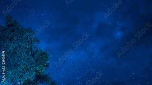 landscape and star concept from beautiful movement of star and milky way with blue background and tree foreground on autumn season