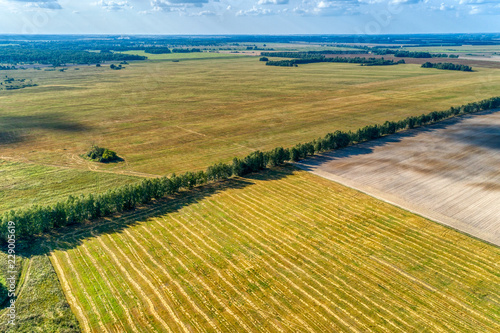 Rural flat landscape. Fields separated by forest belts.