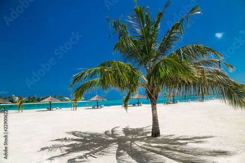 Beautiful beach with white sand at tropical island   Maldives.