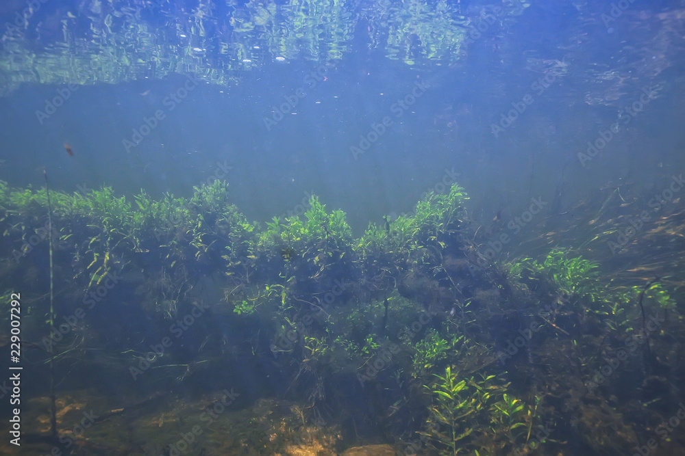 underwater mountain clear river / underwater photo in a freshwater river, fast current, air bubbles by water, underwater ecosystem landscape underwater mountain clear river / underwater photo in a freshwater river, fast current, air bubbles by water, underwater ecosystem landscape