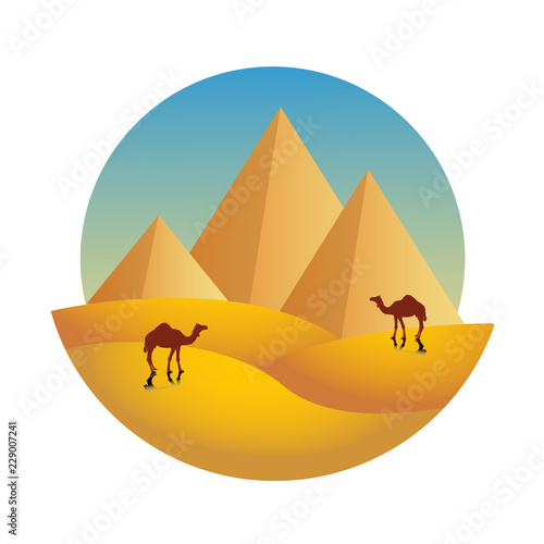 pyramids and camel in egypt