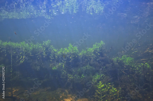 underwater mountain clear river / underwater photo in a freshwater river, fast current, air bubbles by water, underwater ecosystem landscape © kichigin19