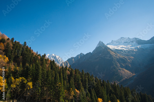 Landscape beautiful mountains with forest and pines and blue sky with sun rays and highlights in the Caucasus in Russia Dombay photo