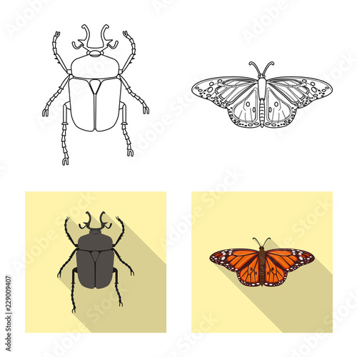 Vector design of insect and fly logo. Set of insect and element stock symbol for web.