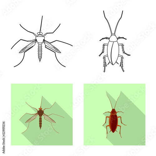 Isolated object of insect and fly symbol. Set of insect and element vector icon for stock.
