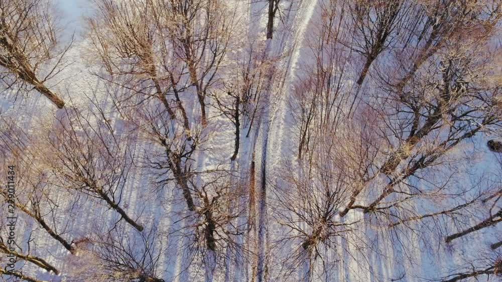 People walking on forest trail covered with snow. AERIAL view above High winter mountain. Winter vacation holiday concept. People walking on forest trail covered with snow. AERIAL view above High winter mountain. Winter vacation holiday concept.