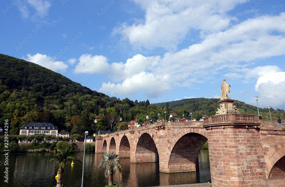 Alte Brücke Heidelberg