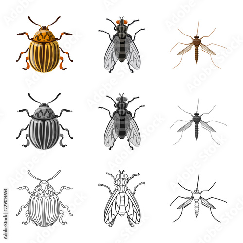 Vector design of insect and fly logo. Set of insect and element stock vector illustration. © Svitlana