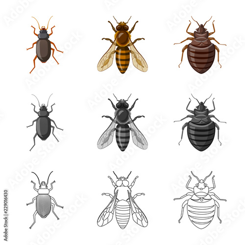 Vector illustration of insect and fly icon. Set of insect and element stock vector illustration. © Svitlana