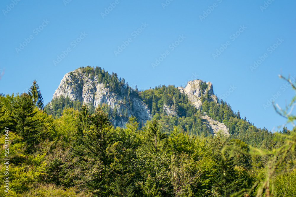 Obraz premium Anblicke rund um den Schwarzensee in Oberösterreich Österreich