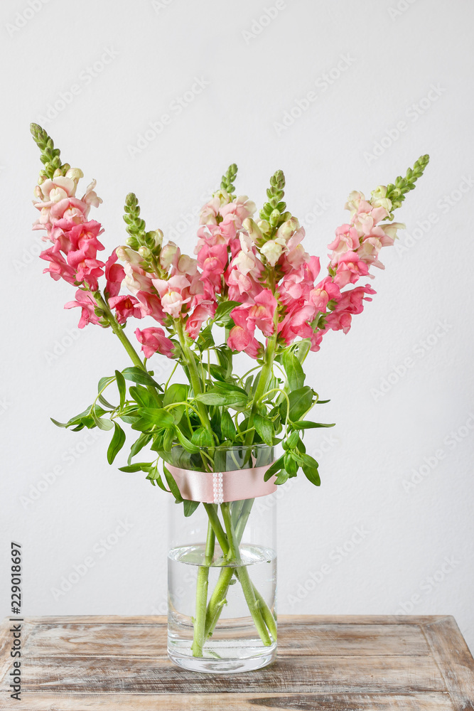 Obraz premium Pink matthiola flowers.