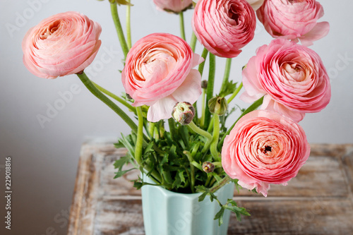 Obraz na plátně Pink ranunculus flowers.