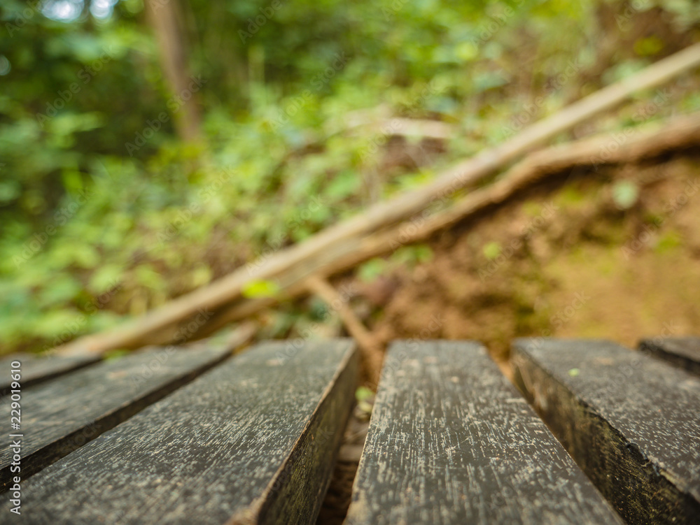 Close up wooden chair the rest point in Khao Luang mountain in Ramkhamhaeng National Park,Sukhothai province Thailand Close up wooden chair the rest point in Khao Luang mountain in Ramkhamhaeng National Park,Sukhothai province Thailand