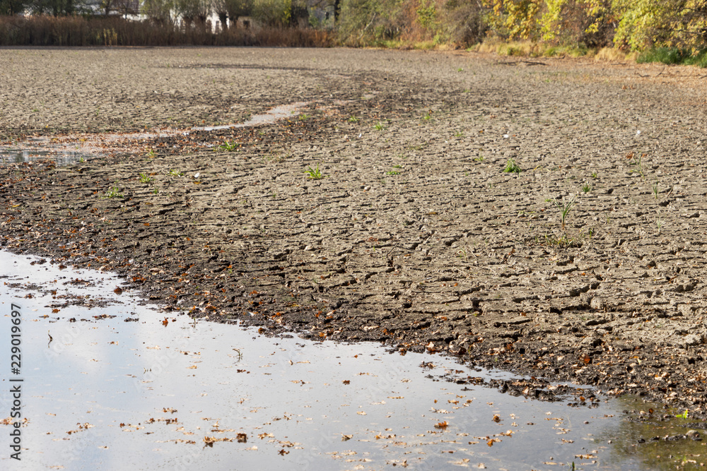 Diminishing water and drought in the pond. Droughts as a result of global warming Diminishing water and drought in the pond. Droughts as a result of global warming