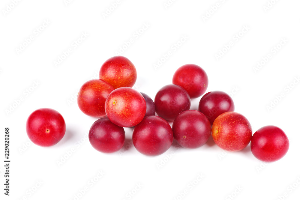 Pile of red cherry plums isolated on the white background Pile of red cherry plums isolated on the white background