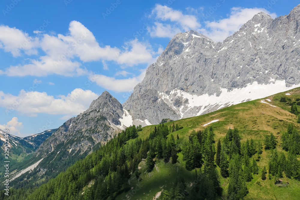 View closeup Alpine mountains in National park Dachstein, Austria, Europe. Blue sky and green forest in summer day