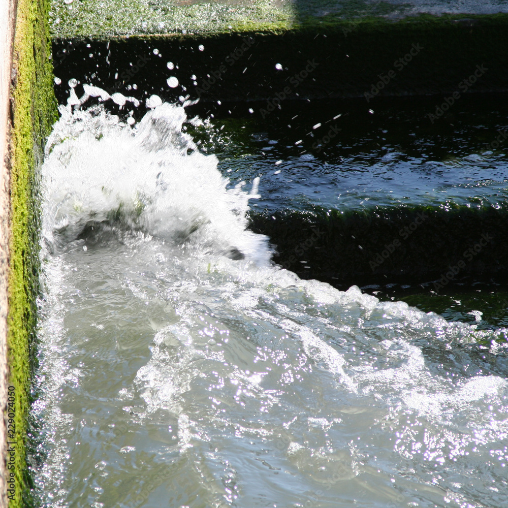 Venice, splashes of water and algae on the shore Venice, splashes of water and algae on the shore