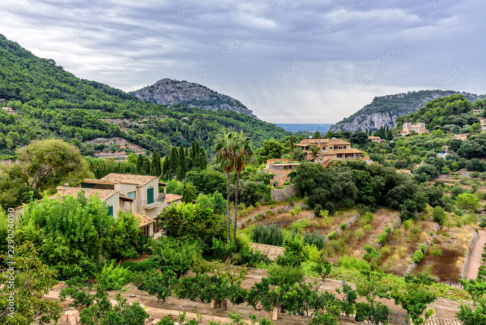 Gebirge Panorama Wald Haus Baum Mallorca