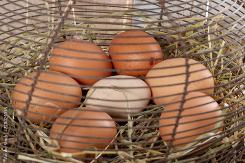 fresh farm eggs in wire mesh basket on the straw