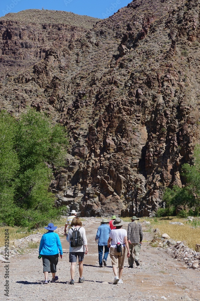 Peach Springs, Arizona, USA: Travelers walk along the winding Diamond Creek Road through Peach Springs Canyon, Arizona, on their way to the Colorado River.