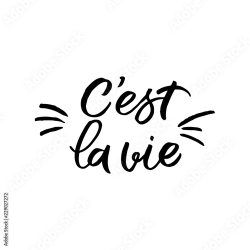 Hand drawn lettering sticker. The inscription  c est la vie. Perfect design for greeting cards  posters  T-shirts  banners  print invitations.