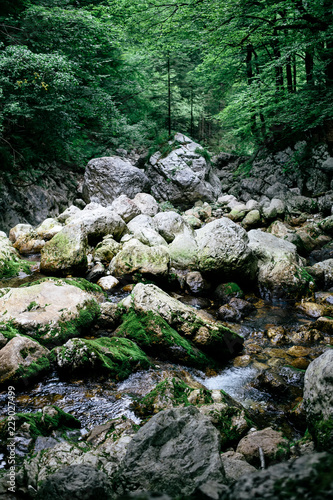 Savica waterfall at Bohinj ...