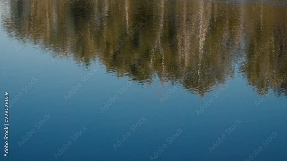 reflection of tree silhouettes in the waves of the river water. reflection of tree silhouettes in the waves of the river water.