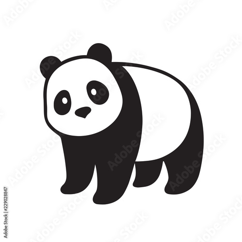 Giant panda illustration