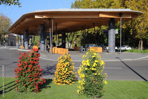 Zentraler Busbahnhof Lahr photo