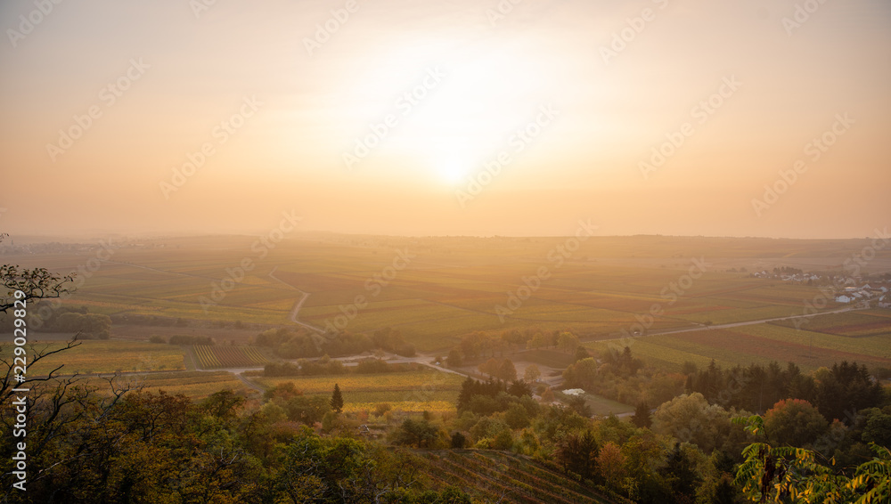 Sonnenaufgang im Dunst über herbstlichen Weinbergen, Rheinland-Pfalz Sonnenaufgang im Dunst über herbstlichen Weinbergen, Rheinland-Pfalz