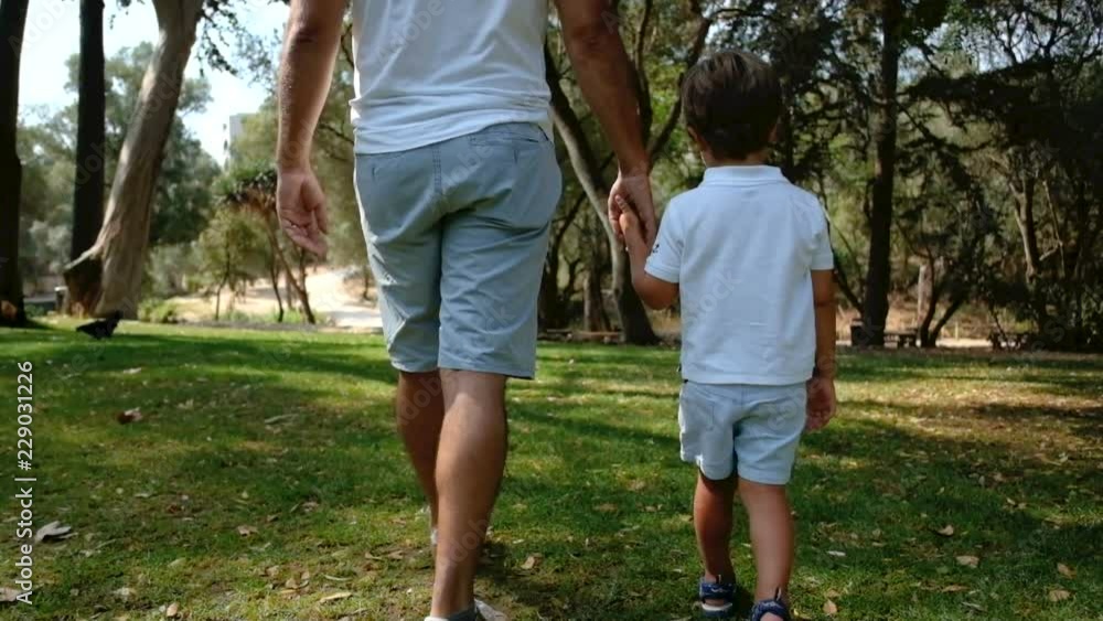Back view of son holding hands with father and walking in park. Dad with little boy spending time and walking together in slow motion. Parenthood concept Back view of son holding hands with father and walking in park. Dad with little boy spending time and walking together in slow motion. Parenthood concept