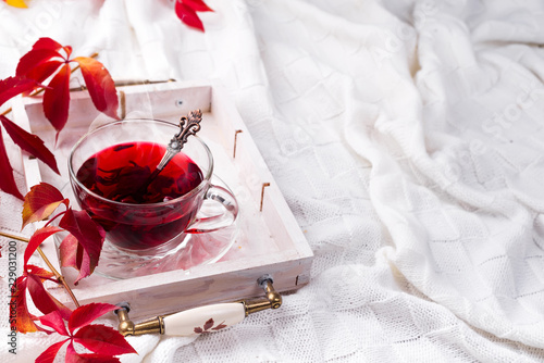 Hot healthy rose tea on wooden tray with autumn fallen leaves on knitted warm woolen blanket. Relaxing in cold weather on the bed with copy space . Seasonal beverages.