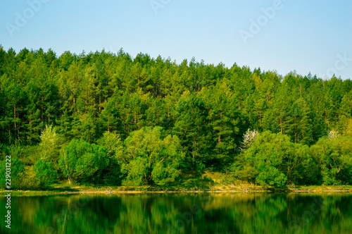 Fototapeta Naklejka Na Ścianę i Meble -  Beautiful skyline of river and forest