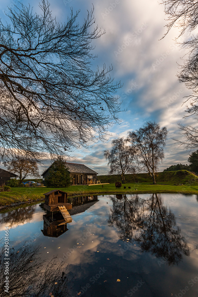 Obraz premium the lake house