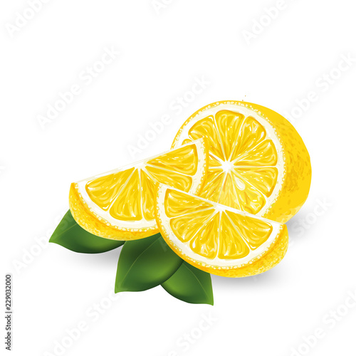 Realistic lemon on a white background. Vector illustration.