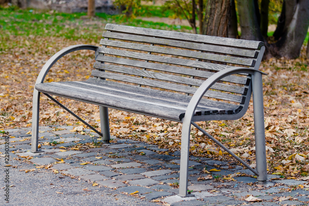 empty wooden park bench in autumn