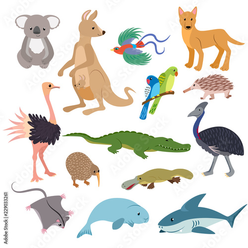 Australian animals vector animalistic character in wildlife Australia kangaroo koala and shark illustration set of cartoon wild wombat platypus and emu isolated on white background