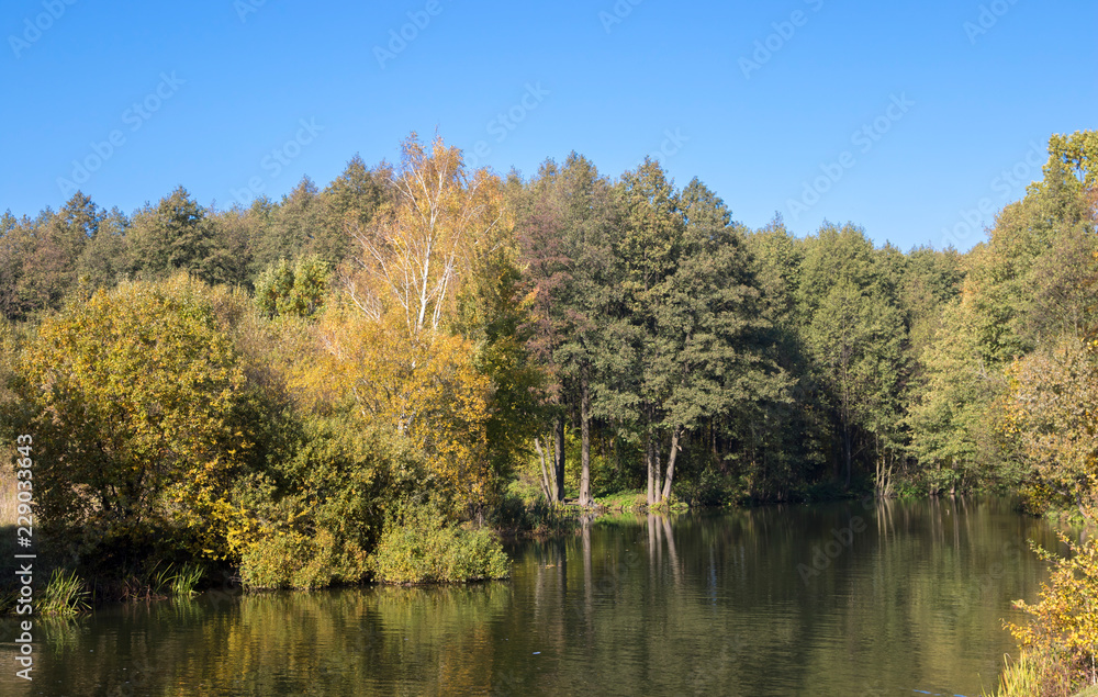 Autumn landscape. Golden trees in the autumn park Autumn landscape. Golden trees in the autumn park